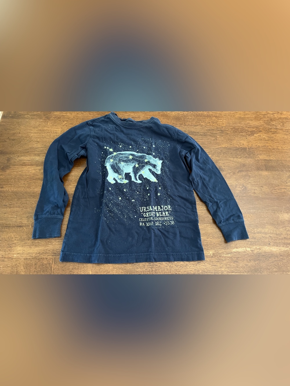 Land’s End Kids Navy Long-Sleeve Graphic Tee with Bear Print 100%cotton